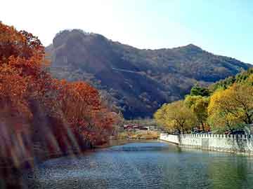 新澳天天开奖资料大全旅游团，肿么了我竟然穿越了